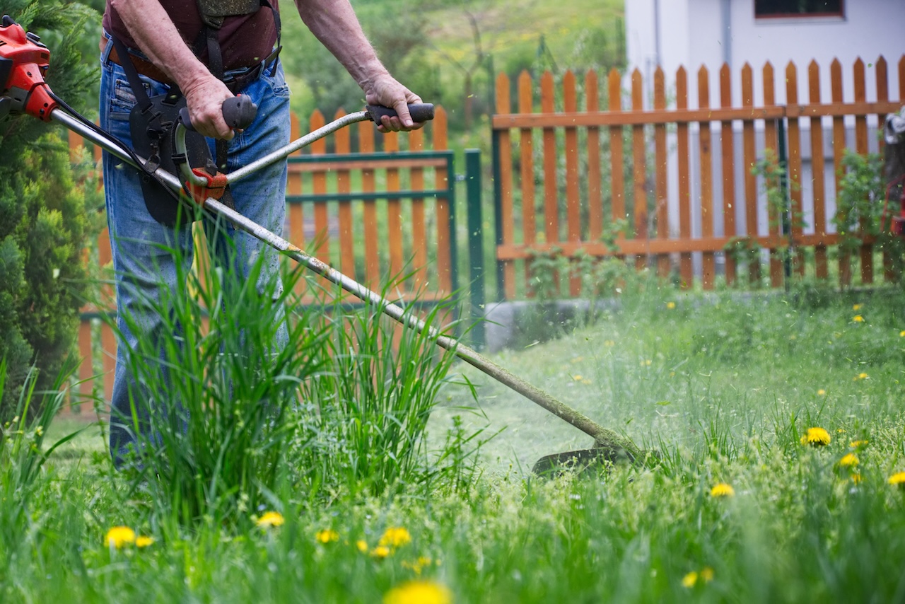 Údržba zahrady snadno a rychle? Elektrické nářadí vám ušetří práci i čas Údržba zahrady snadno a rychle? Elektrické nářadí vám ušetří práci i čas