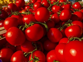 Jak zpracovat rajčata?