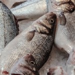 Zmrazením ryba ztrácí na kvalitě
