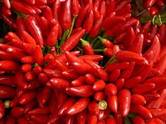 Jaké účinky mají chilli papričky?