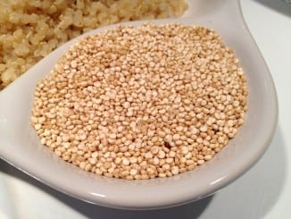 Co je quinoa?