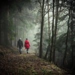 Koučink - umění osobního rozvoje a aosunu vpřed