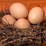 Jak snadněji oloupat vejce