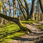 Jak poznat vařené vejce od syrového