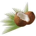 Jedlé nádobí – naplní váš žaludek a ušetří životní prostředí