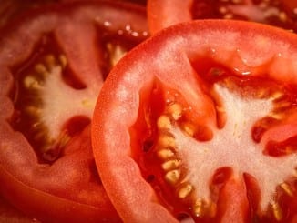 Proč jíst rajčata?