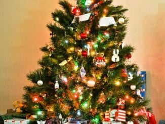 Jak vhodně ozdobit vánoční stromeček?