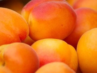 Jak meruňky pomáhají kráse?
