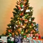 Jak vybrat vánoční stromek?