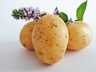 Jak udělat teplý zeleninový salát s bramborami?