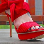 Cestování se psem – jaké jsou možnosti?