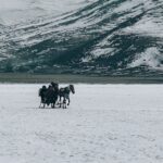 Domácí léčba proti nachlazení a chřipce