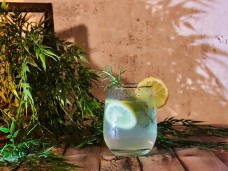 Letní detox: osvěžující nápoje a tipy na zdravé venkovní stolování Letní detox: osvěžující nápoje a tipy na zdravé venkovní stolování