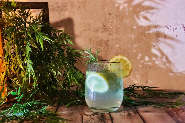 Letní detox: osvěžující nápoje a tipy na zdravé venkovní stolování Letní detox: osvěžující nápoje a tipy na zdravé venkovní stolování